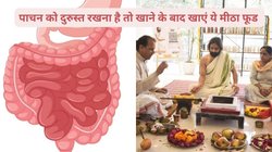 सर्दी में डाइजेशन की हर समस्या को छूमंतर कर देगी यह चीज, 4 अन्य बीमारियों में भी रामबाण, नित्यानंदम श्री ने बताए तरीके