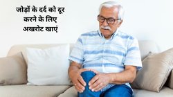 सर्दियों में जोड़ों का दर्द और स्टिफनेस करती है परेशान, इन 5 चीजों को खाना अभी से शुरू कर दें, दर्द से मिलेगी राहत