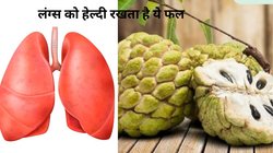 पॉल्यूशन के घातक असर से भी महफूज़ रखता है सर्दी का ये खास फल, स्वाद भी है लाजवाब, जानें हैरान करने वाले फायदे
