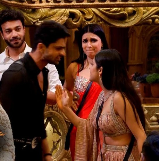 bigg boss fights