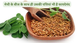 Methi leaves benefits,Methi Leaves For Bone Health,Winter Special Methi: सर्दियों में मेथी की सब्जी खाने के अद्भुत फायदे, सर्दी में मेथी के साग के सेहत को फायदे