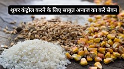 डायबिटीज मरीज इन 4 Millets को करें डाइट में शामिल, लो ग्लाइसेमिक अनाज Sugar करेगा कंट्रोल, जानिए मिलेट्स पावर