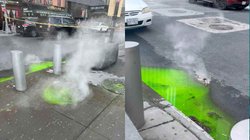 न्यूयॉर्क की सड़कों पर बह रहा है हरा कीचड़? हैरत में पड़े लोग; जानिए क्या है सच्चाई