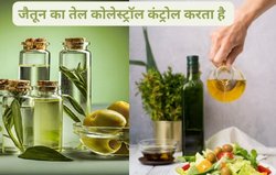 क्या आप रोज़ाना जैतून के तेल का सेवन कर सकते हैं? क्या ये आपके कुकिंग ऑयस से बेहतर विकल्प है? एक्सपर्ट से जानिए