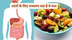 पेट के लिए अमृत है 12 महीने मिलने वाला ये फल, खाली पेट खाएं, कब्ज होगा दूर और कोलन की होगी सफाई