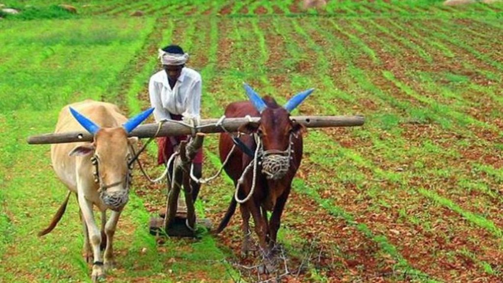 PM Kisan Samman Nidhi Yojana | PM Kisan Yojana Installment | PM Narendra Modi
