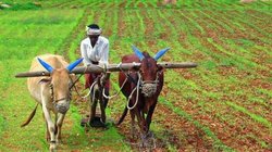 PM Kisan Yojana: पीएम मोदी ने जारी की किसान योजना की 15वीं किश्त, इन किसानों को नहीं मिलेगा लाभ, ऐसे चेक करें स्टेटस