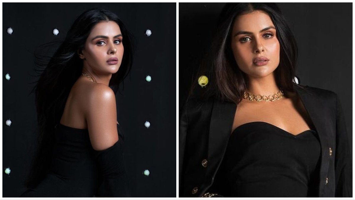 Priyanka Chahar Chaudhary, Ankit Gupta, Udariyan