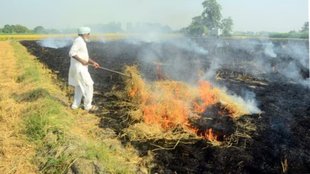 stubble burning| Punjab| delhi pollution