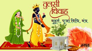 Tulsi Vivah 2023, tulsi vivah, tulsi vivah pujan vidhi