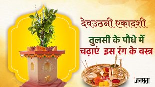 Tulsi Upay, Dev uthani ekadashi 2023, dev uthan ekadashi 2023, dev prabodhini ekadashi 2023