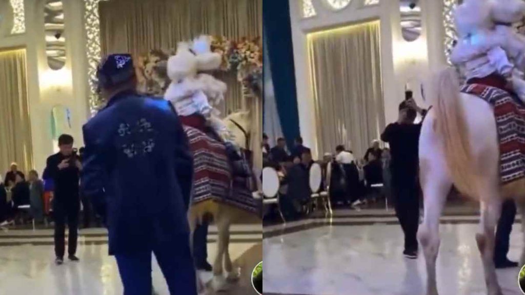 uncomfortable situation in front of the wedding procession