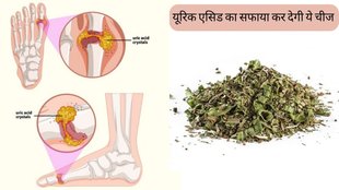 Uric Acid । Dried Mint benefits । Dried Mint For uric acid
