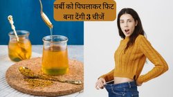 शरीर पर चढ़ती चर्बी को पिघलाकर फिट बना देंगी ये 3 चीजें, महीने भर में मिल जाएगा मोटापे से छुटकारा, बस जान लें सेवन का तरीका