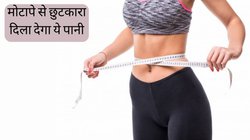 सर्दी में तेजी से कम करना चाहते हैं मोटापा? रोज सुबह गुनगुने पानी में मिलाकर पी लें ये एक चीज, 15 दिनों में महसूस करेंगे फर्क