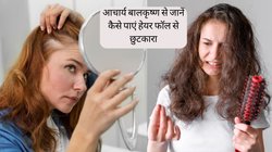 सफेद बाल और हेयर फॉल से एक साथ छुटकारा दिला देगी ये खास चीज, महंगे प्रोडक्ट्स की नहीं पड़ेगी जरूरत, ऐसे करें इस्तेमाल