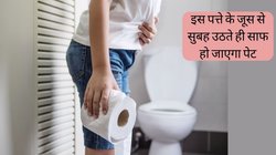 सुबह उठते ही पेट हो जाएगा साफ, बस खाली पेट पी लें इस पत्ते का जूस, जानें कैसे है फायदेमंद