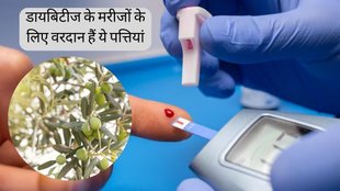 Diabetes । Diabetes remedy । Olive Leaves for diabetes