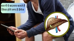 मल में दिख रहे हैं ये बदलाव तो समझ लें धीरे-धीरे ठप पड़ने लगा है आपका लिवर, लापरवाही पहुंचा सकती है अस्पताल