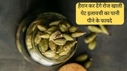 सर्दी के लिए वरदान है इलायची, रोज खाली पेट पानी में मिलाकर पी लें, चमत्कारी फायदे देख कभी नहीं छोड़ेंगे आदत