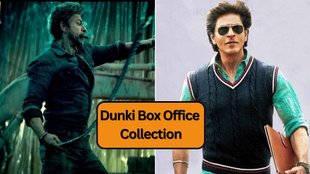 Shah Rukh Khan/ Dunki/ Dunki Box Office collection