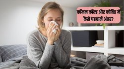 JN.1 COVID Variant: कॉमन कॉल्ड, फ्लू और कोरोना के नए वेरिएंट के लक्षणों को लेकर हैं कंफ्यूज? एक्सपर्ट से जानें कैसे करें पहचान