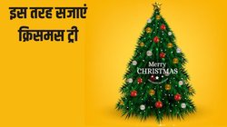 Christmas Tree Decoration Ideas: इस साल इन बेहद यूनिक आइडियाज के साथ डेकोरेट करें क्रिसमस ट्री, देखते ही लोग कहेंगे ‘WOW’