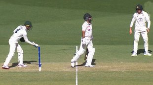 Alex Carey, AUS vs PAK, abdullah shafique,