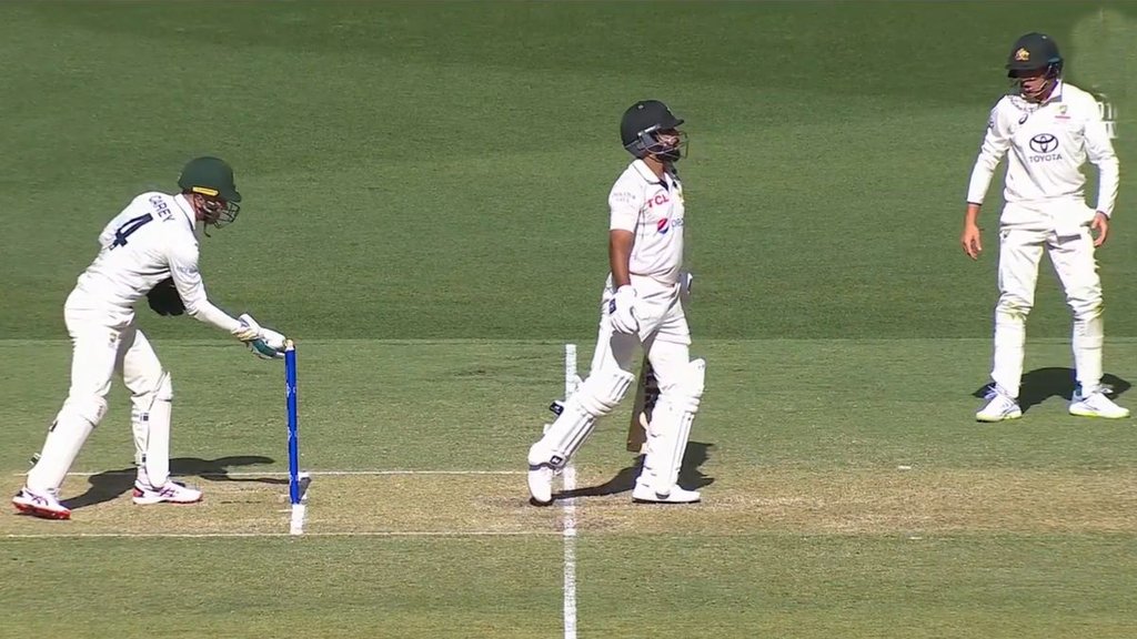 Alex Carey, AUS vs PAK, abdullah shafique,