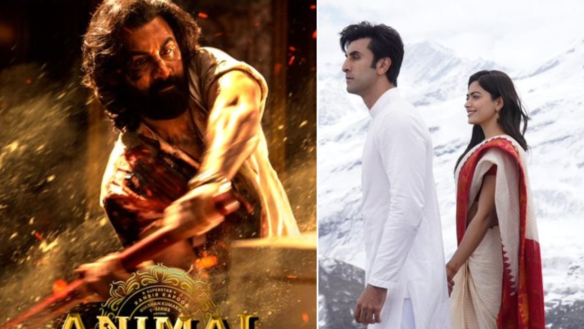 Animal/ Ranbir Kapoor/ Animal Box Office