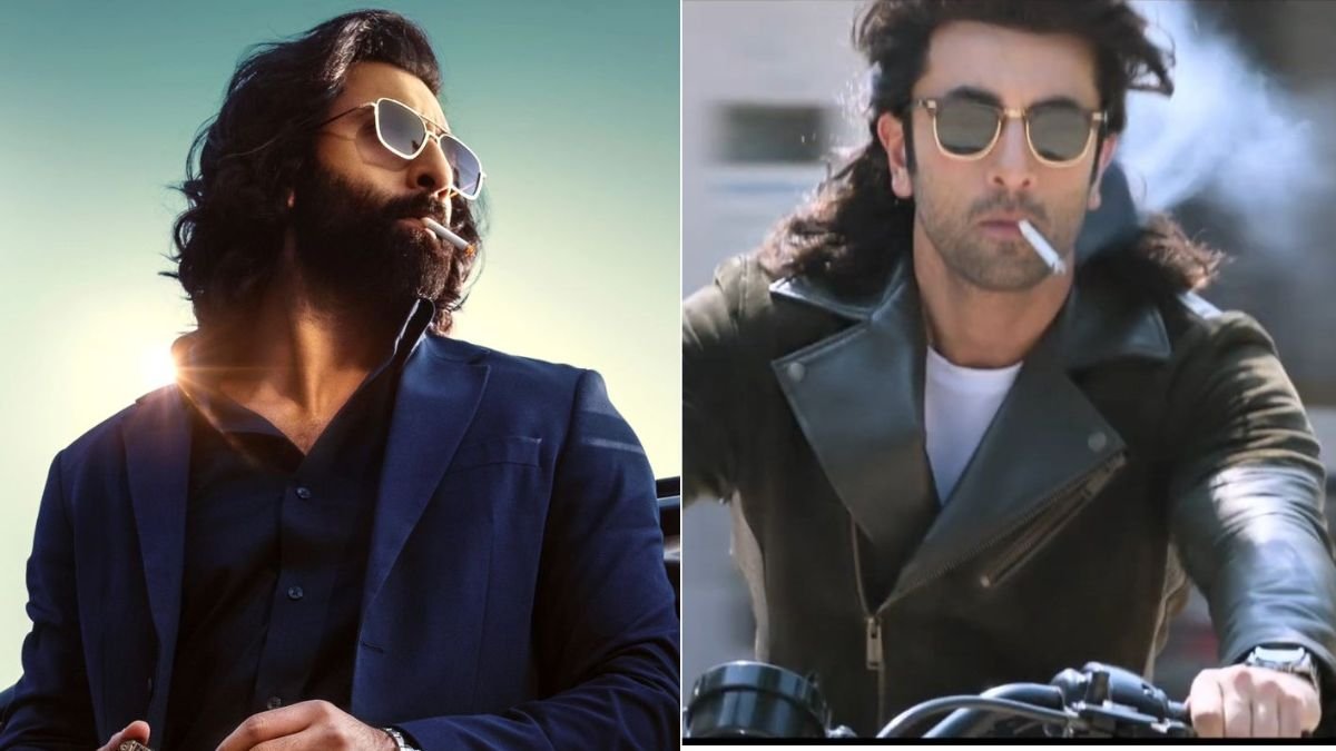 Animal | Animal Box Office Collection | Animal Movie Reaction Animal | Animal Box Office Collection | Animal Movie Reaction