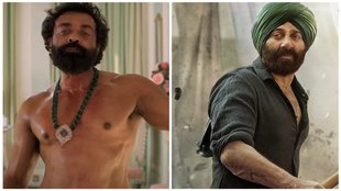 Animal BO Collection, Gadar 2, Bollywood News