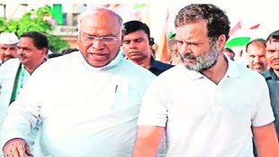 Bebak bol| Assembly elections