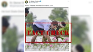 Fact Check