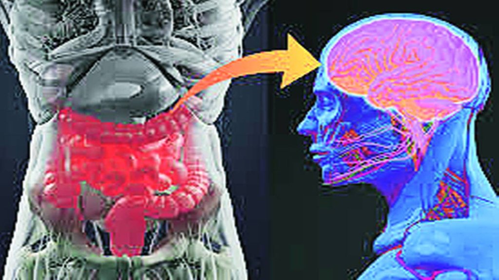 Amnesia | Alzheimer | Medical Research | Amnesia | Alzheimer | Medical Research |
