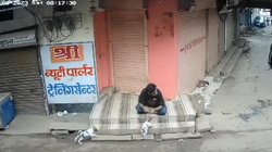 पिल्ले को जमीन पर पटक-पटक कर मारा डाला, VIDEO देख शिवराज-सिंधिया भी हिल गए