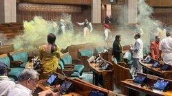 Lok Sabha: संसद में घुसे दो संदिग्धों को किसने पकड़ा? उनसे खुद जानिए युवकों के पास क्या था