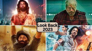 Year Ender, Bollywood Best Movie, Best Movie of 2023