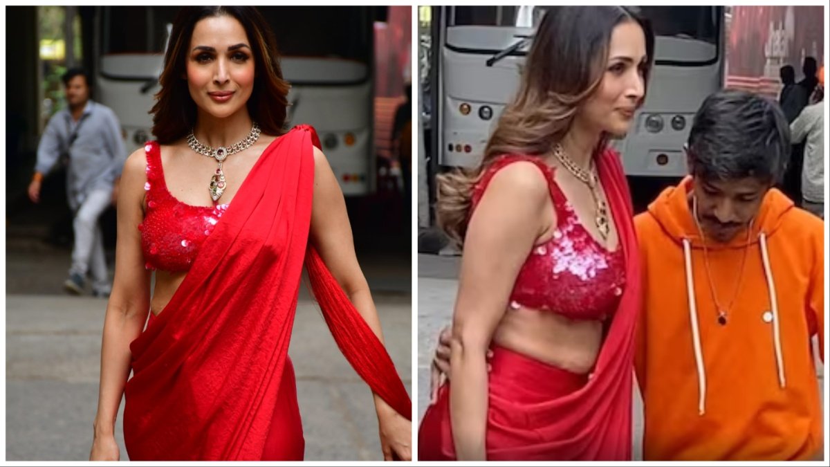 Malaika Arora, Bollywood, Malaika fan video