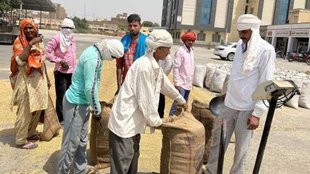 Village Market | Economy | Access to village Market |