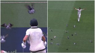 Marnus labuschagne, hasan ali, IND vs SA 1st Test, boxing day test match