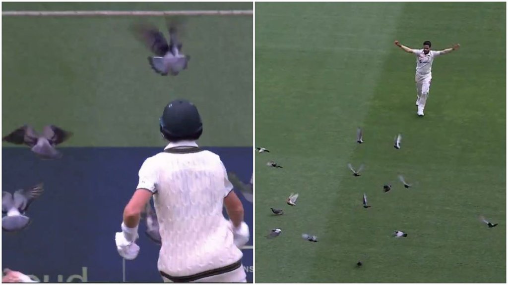 Marnus labuschagne, hasan ali, IND vs SA 1st Test, boxing day test match