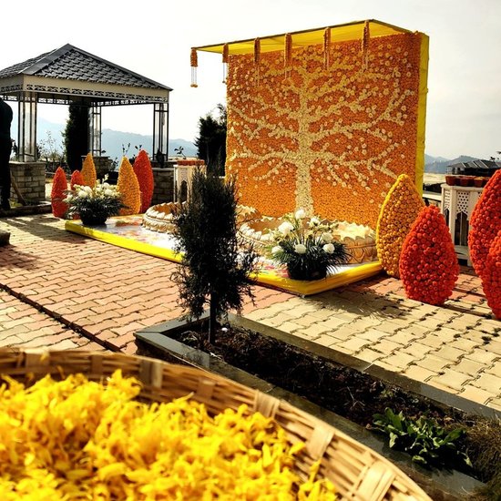 Shimla