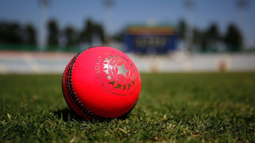 Team India | Day Night match | Pink Ball Test