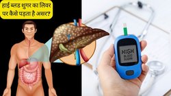 लिवर पर भी पड़ता है हाई ब्लड शुगर का असर, डायबिटीज रोगियों को दिखें ये लक्षण तो तुरंत करा लें जांच
