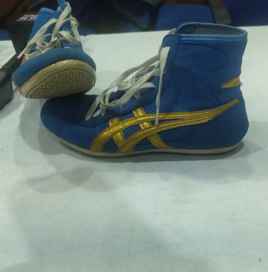 Sakshi Malik hang on her boots, Vinesh Phogat, Sakshi Malik, Bajrang Punia, WFI Elections, Wrestling Federation Of India