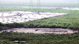 Wetland| capture| Parliament committee