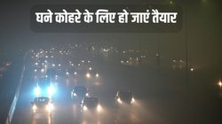 Dense Fog Forecast: मैदानी इलाकों में घना कोहरा बढ़ाएगा परेशानी! IMD ने मौसम को लेकर जताया यह अनुमान