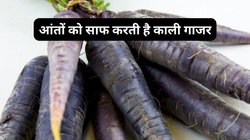सर्दी में कब्ज और गैस की समस्या बढ़ गई है, लाल नहीं काली गाजर का करें सेवन, आंतों की होगी सफाई और सेहत को मिलेंगे 4 फायदे