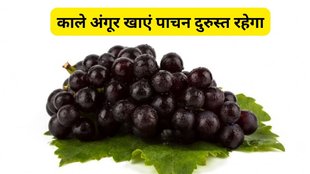 amazing benefits of black grapes, काले अंगूर के सेहत के लिए फायदे,काले अंगूर का सेवन कैसे सेहत को फायदा पहुंचाता है,काले अंगूर के फायदे